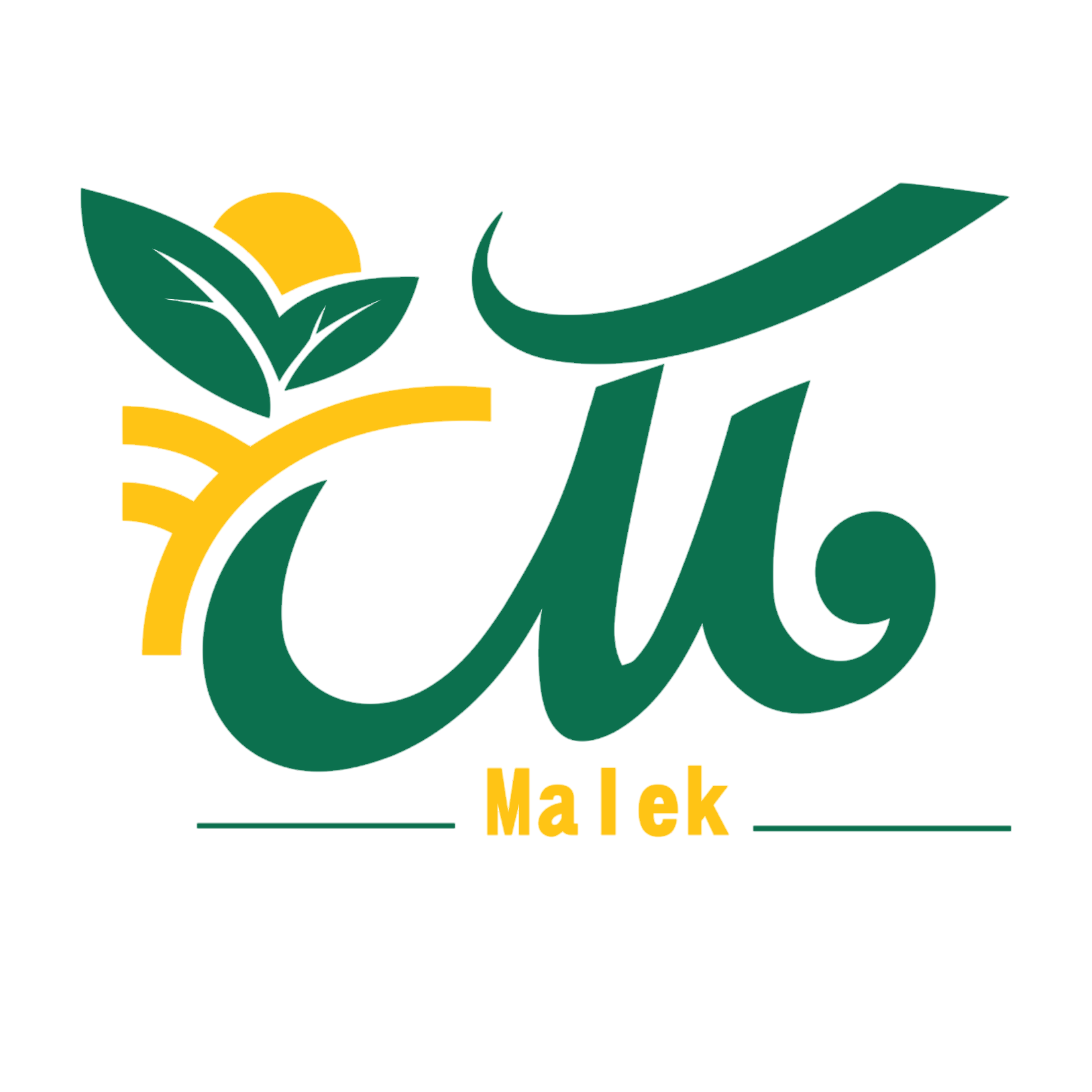 عطاری ملک